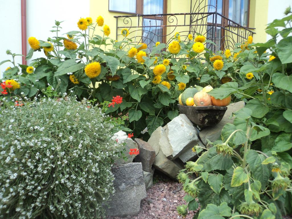 Hotel Restaurant Vizit Truskavets Exterior foto